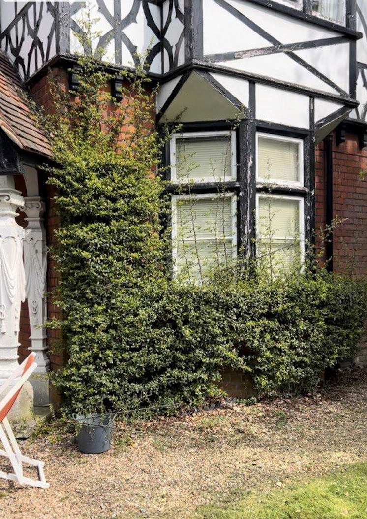 After calm, finished boundary