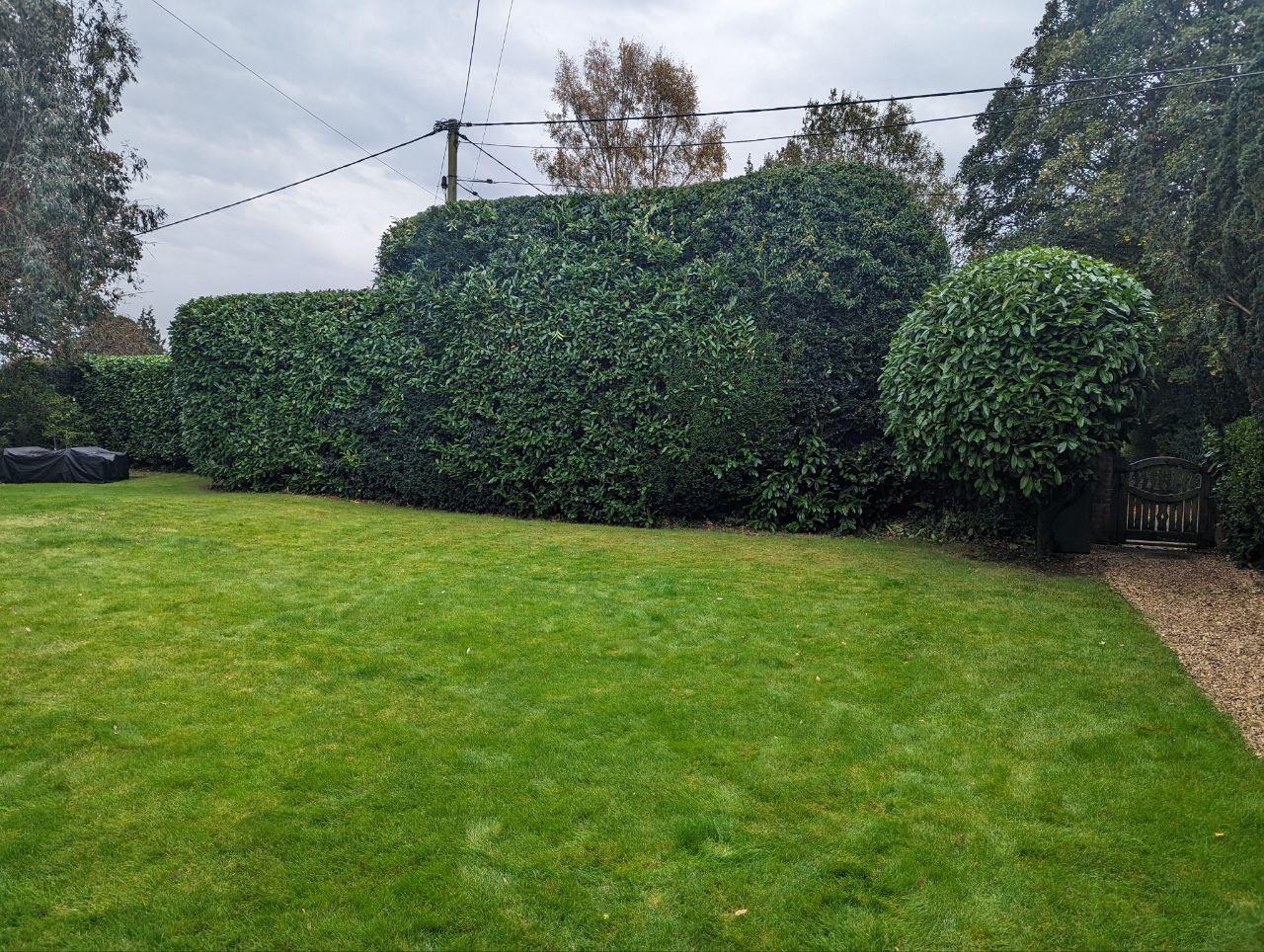 Additional after image of private garden edge shaping