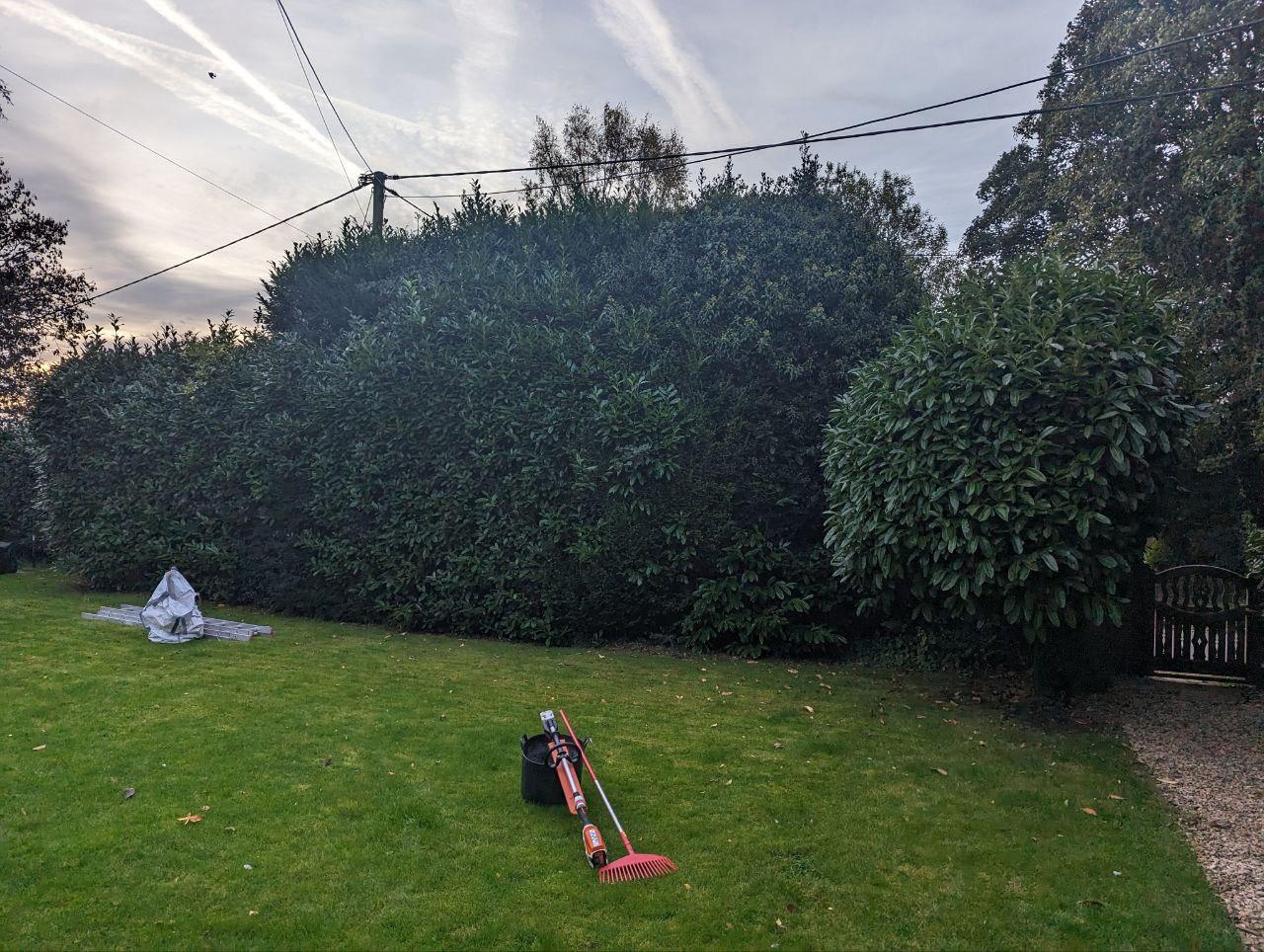 Additional before image of private garden edge shaping